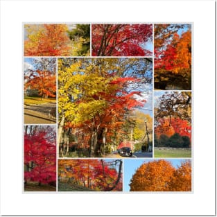 Foliage Collage Posters and Art